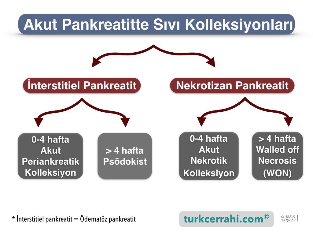 Akut pankreatitte sıvı kolleksiyonlari ve psödokist (Atlanta sınıflaması)