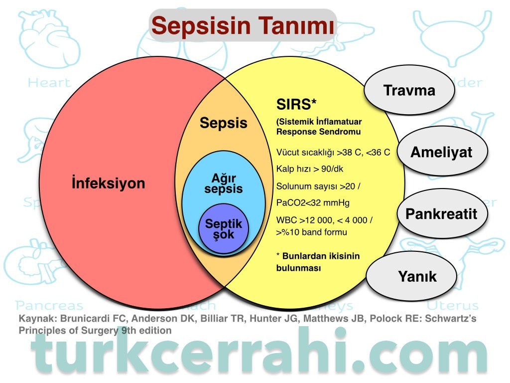 SIRS, sepsis, septik şok