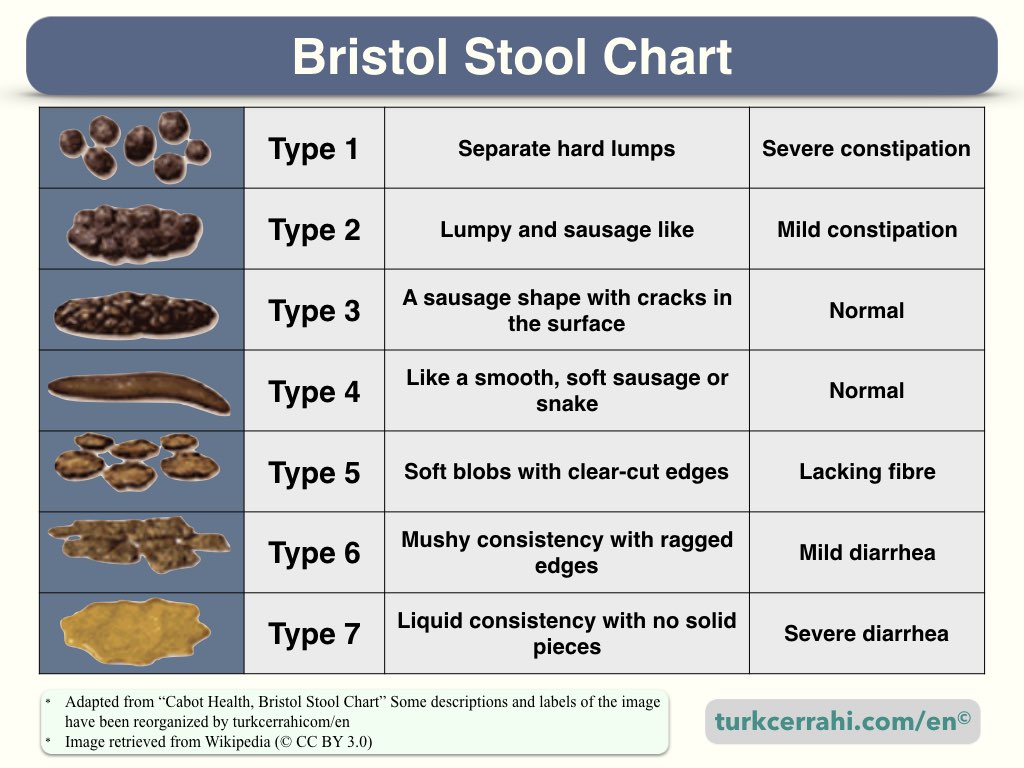 Bristol stool chart (scale)