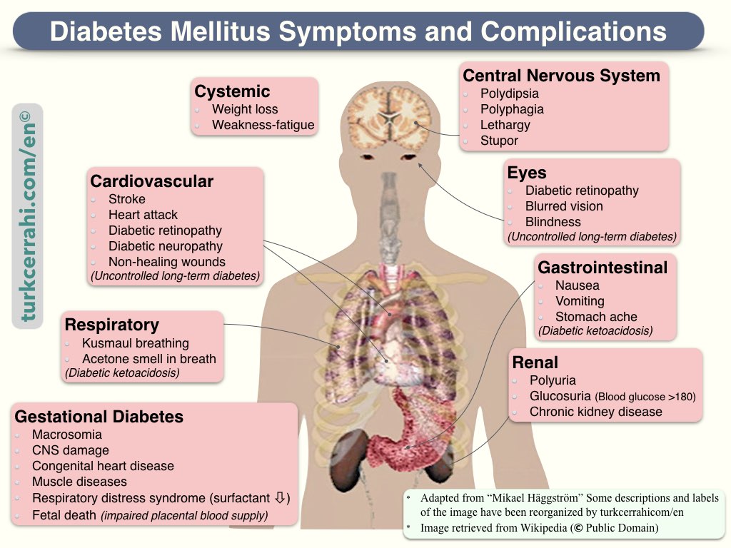 Diabetes mellitus symptoms and complications