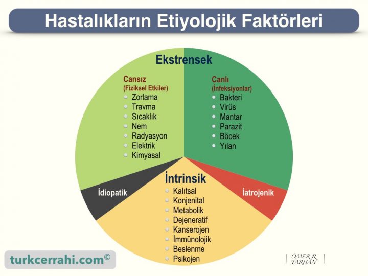 Etiyolojik faktörler, hastalıkların etiyolojisi