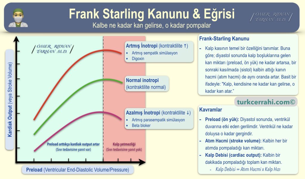 Frank Starling Kanunu ve Eğrisi