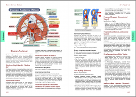 Genel Cerrahi Kitabı Örnek Sayfa - 3 (A4)