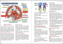 Genel Cerrahi Kitabı Örnek Sayfa - 3 (A5)