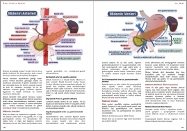 Genel Cerrahi Kitabı Örnek Sayfa - 5 (A5)