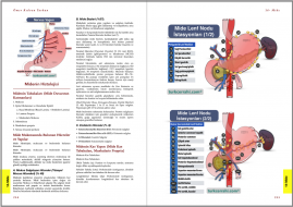 Genel Cerrahi Kitabı Örnek Sayfa - 6 (A4)