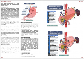 Genel Cerrahi Kitabı Örnek Sayfa - 6 (A5)