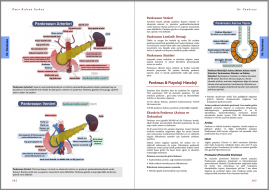 Genel Cerrahi Kitabı Örnek Sayfa - 8 (A4)