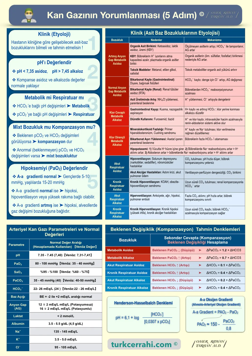 Kan gazının yorumlanması