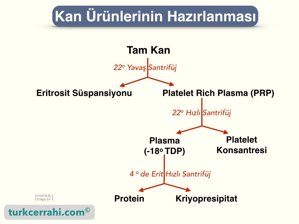 Kan Ürünlerinin Hazırlanması