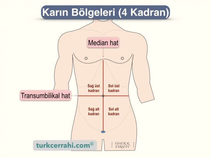 Karın bölgeleri, 4 kadran