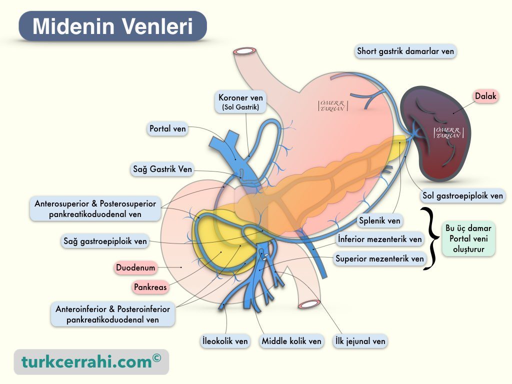 Midenin Venleri