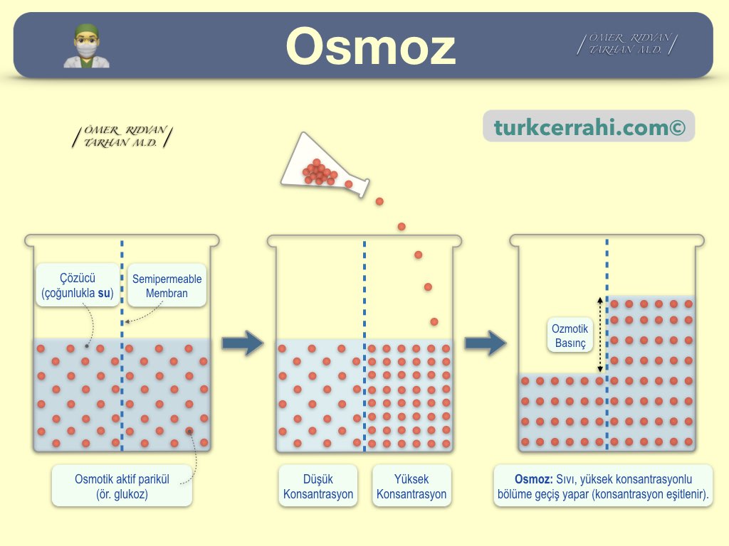 Osmoz