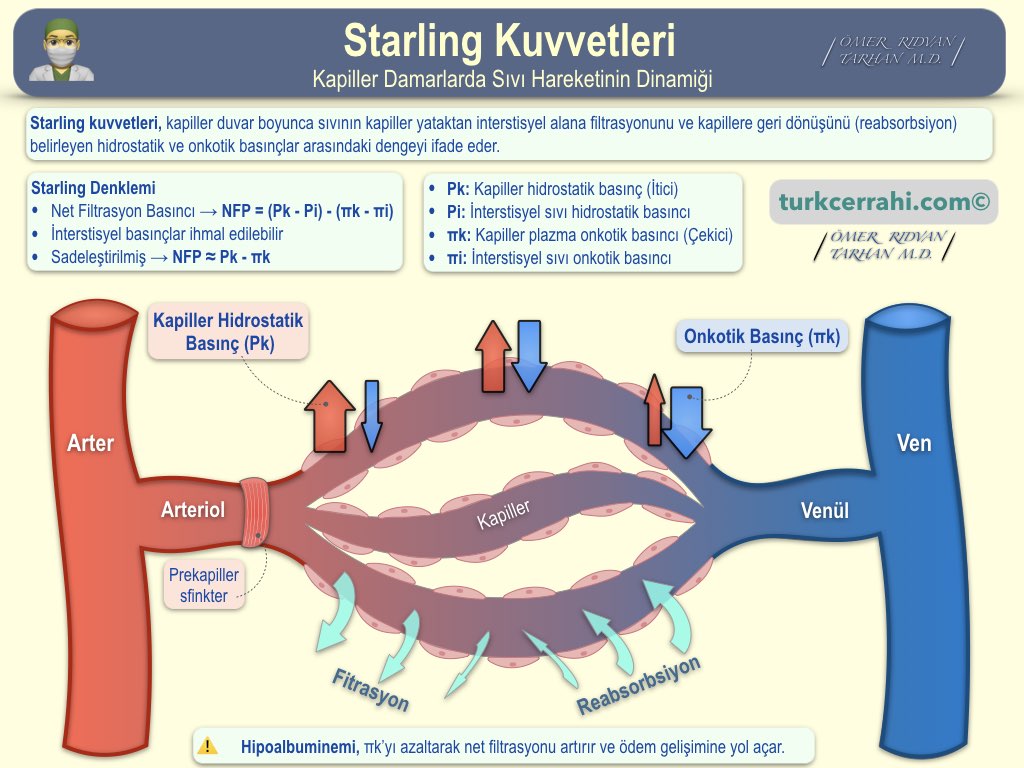 Starling Kuvvetleri & Kapiller Damarlarda Sıvı Hareketinin Dinamiği