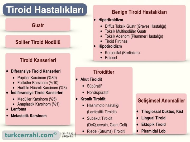 Tiroid hastalıkları