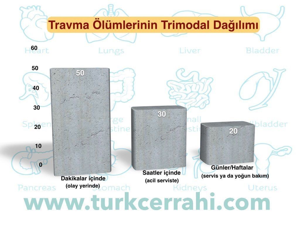 Travma ölümlerinin trimodal dağılımı