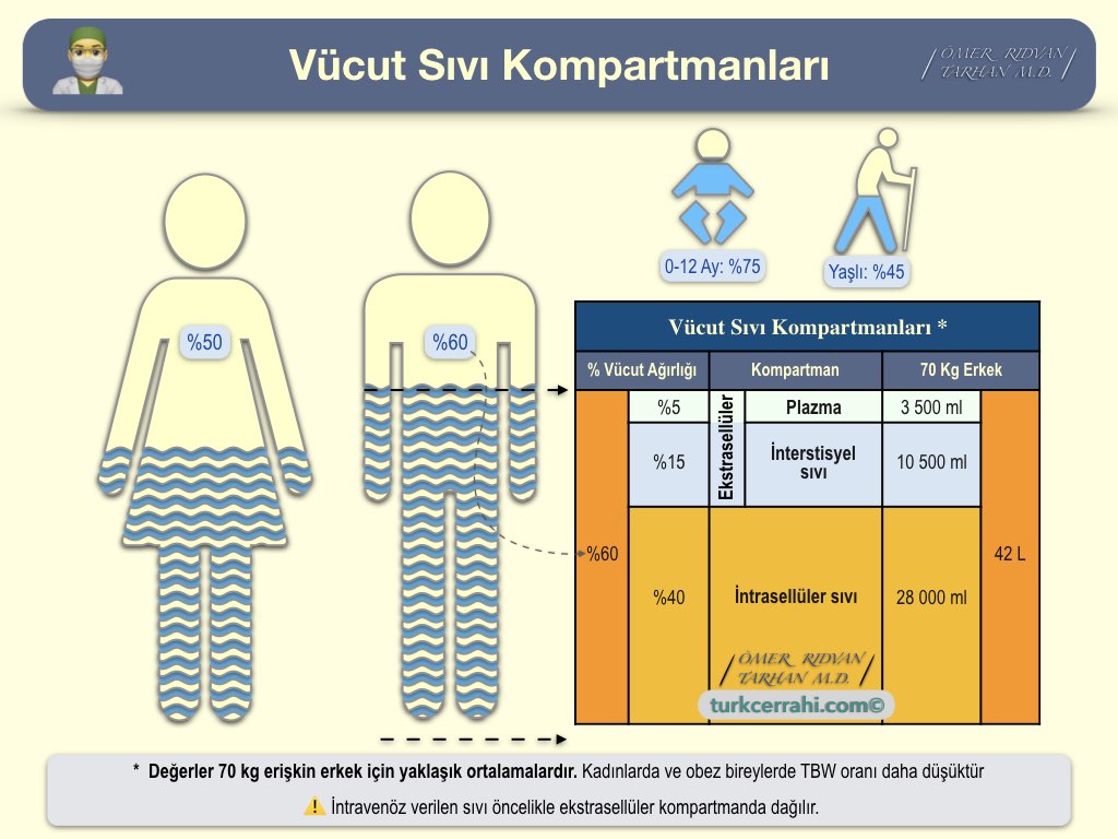 Vücut Sıvı Kompartmanları ve Dağılımı